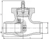 swing check valve, DN200, PN100 